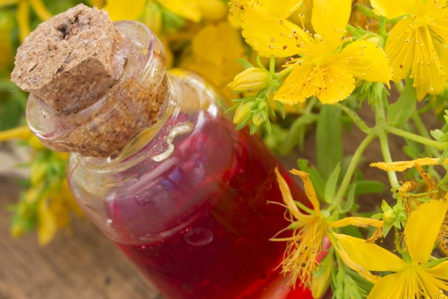 Aceite Macerado de Hipérico para Golpes y Quemaduras