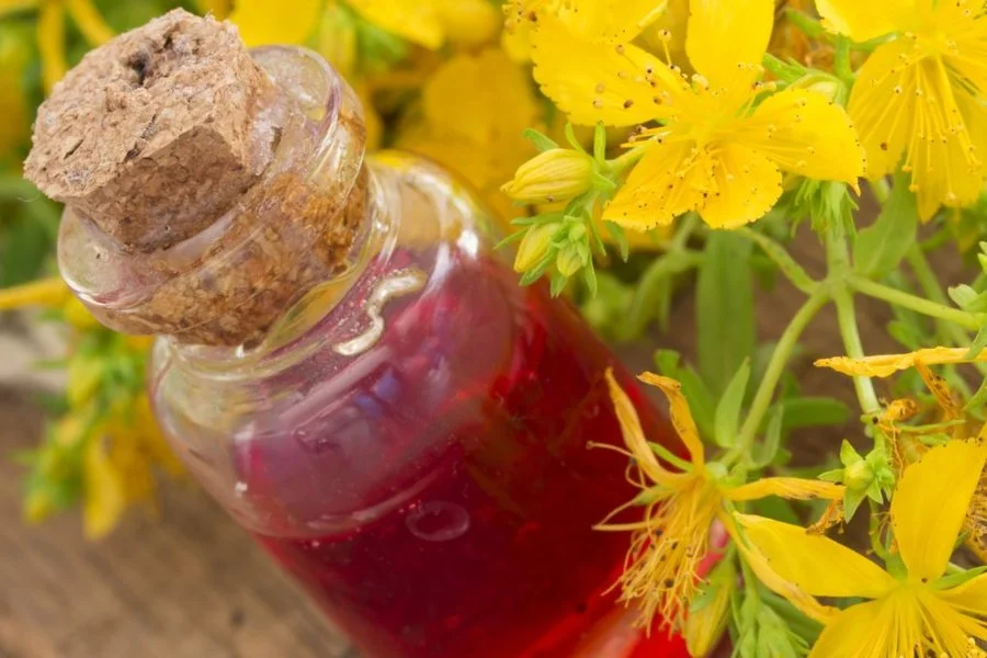 Aceite Macerado de Hipérico para Golpes y Quemaduras - El famoso 'aceite de las heridas' o 'aceite de San Juan', elaborado macerando flores de hipérico fresco en aceite de oliva al sol para regenerar la piel.