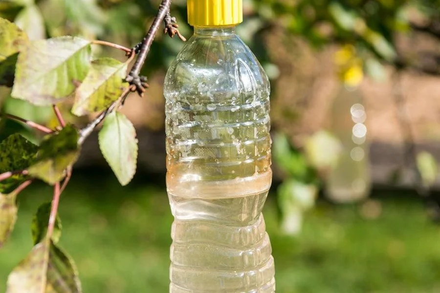 Trampa de Vinagre y Azúcar para Avispas y Moscas - Protege tus comidas en el exterior con una trampa ecológica y selectiva para avispas y moscas utilizando vinagre de sidra y una botella de plástico reciclada.